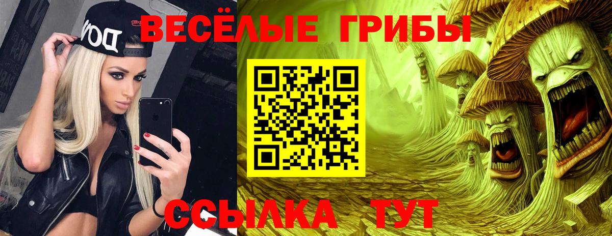 Псилоцибиновые грибы Cubensis Наро-Фоминск